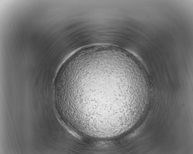 X0000066940933200604142020