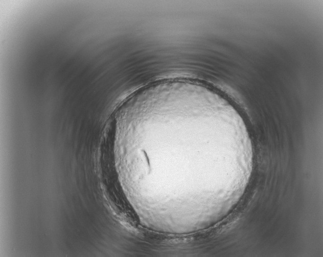 X0000066940937200604142020