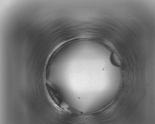 X0000066940939200604142020