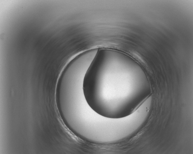 X0000066940940200604142020