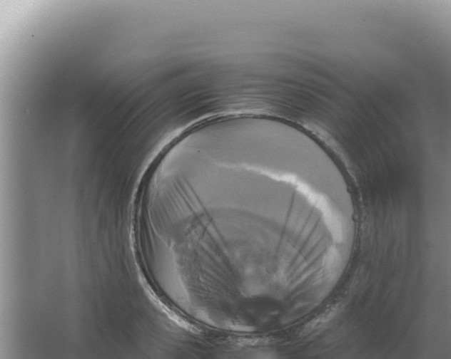 X0000066940941200604142020