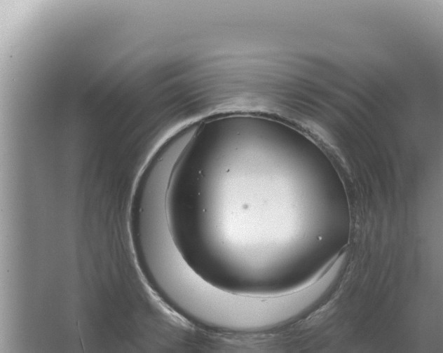 X0000066940942200604142020