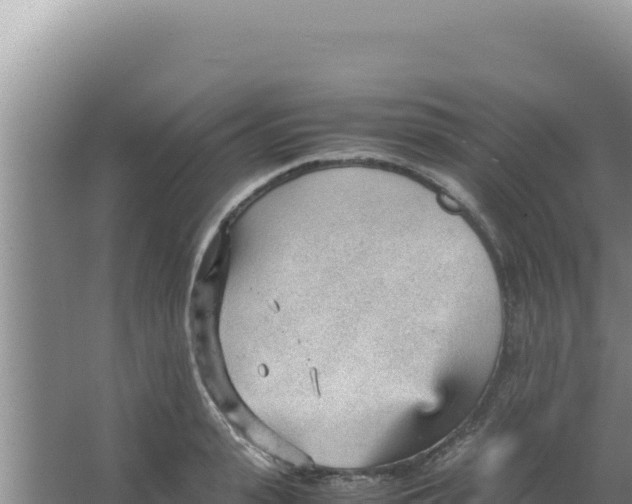 X0000066940943200604142020