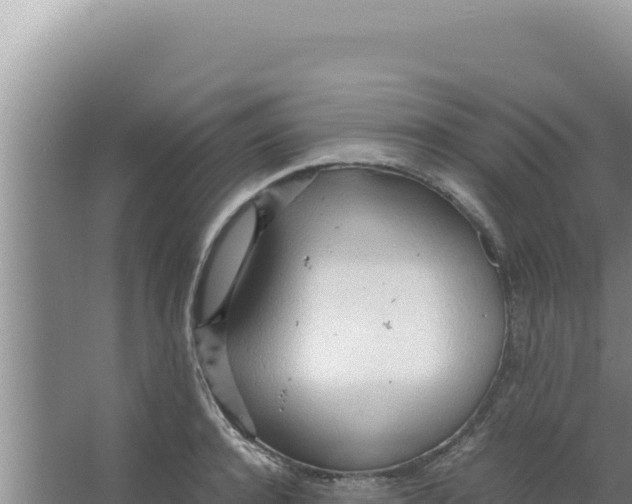 X0000066940944200604142020