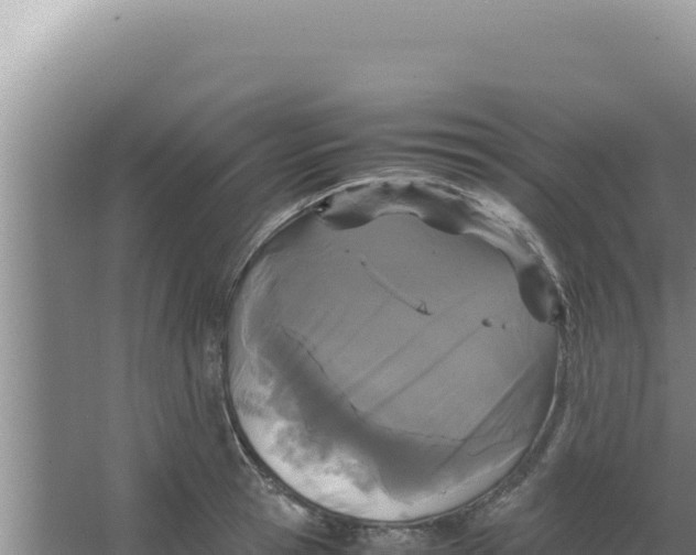 X0000066940945200604142020