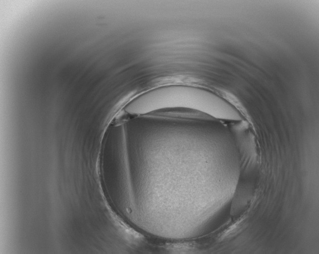 X0000066940946200604142020