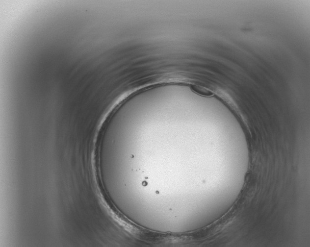 X0000066940947200604142020