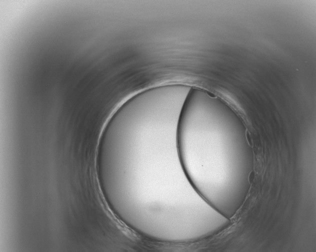 X0000066940948200604142020