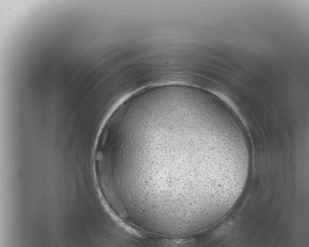 X0000066940949200604142020