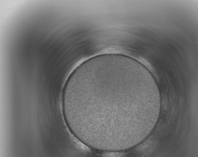 X0000066940950200604142020