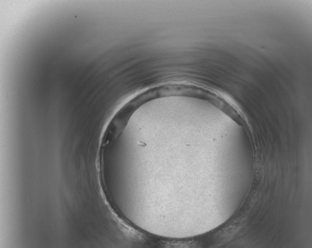 X0000066940951200604142020