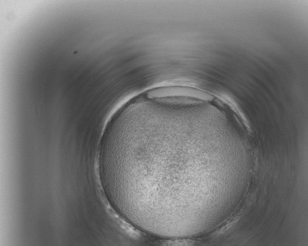 X0000066940952200604142020