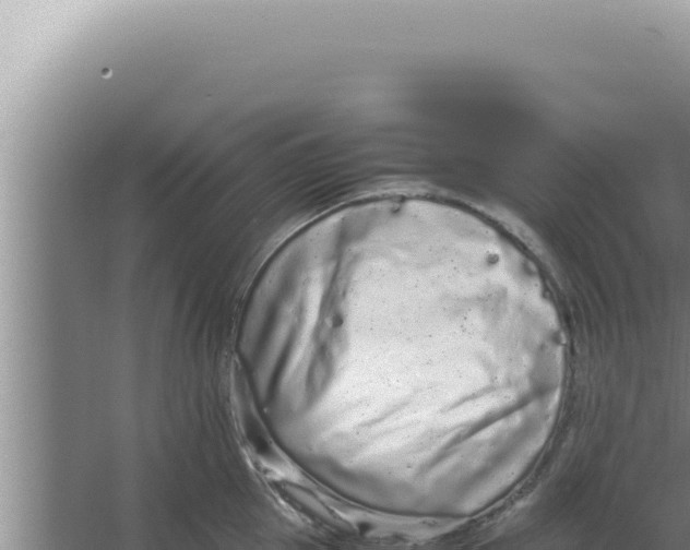 X0000066940953200604142020