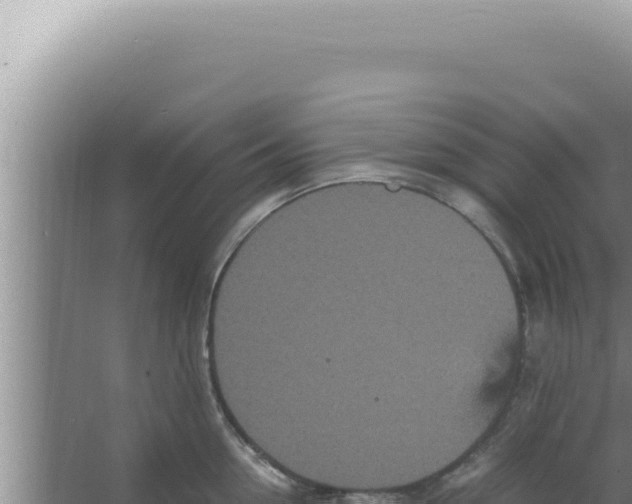 X0000066940954200604142020