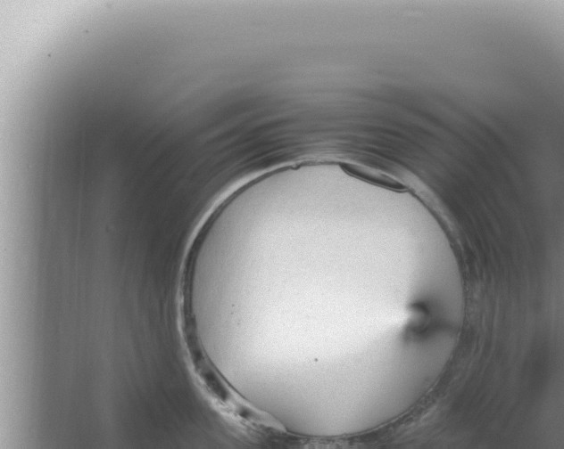 X0000066940955200604142020