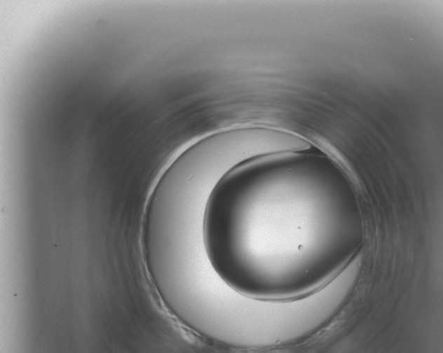 X0000066940956200604142020