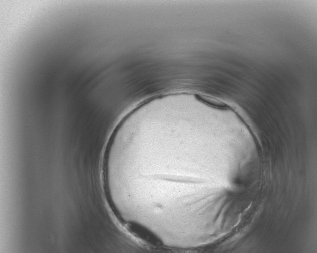 X0000066940957200604142020