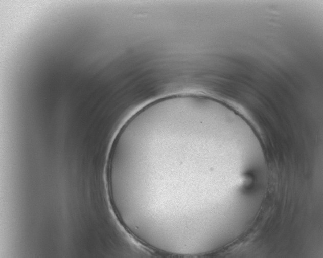 X0000066940959200604142020