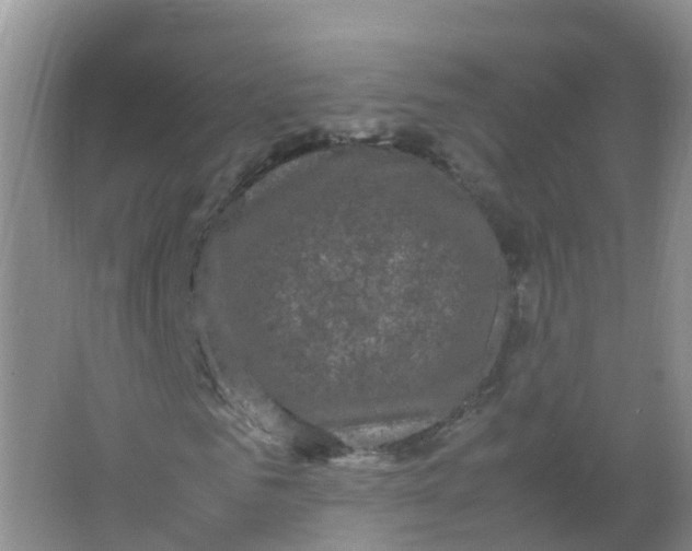 X0000066940961200604142019