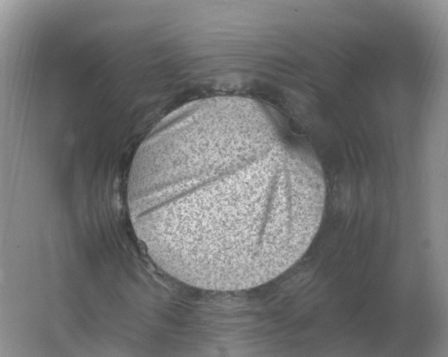 X0000066940962200604142019