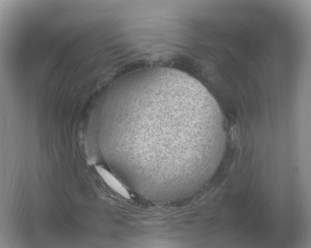 X0000066940963200604142019