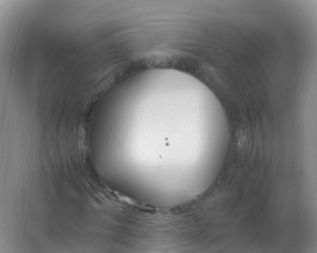 X0000066940964200604142019