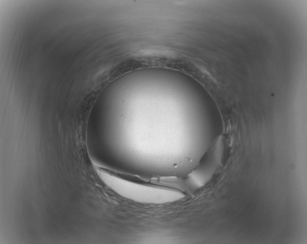 X0000066940965200604142019