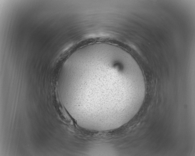 X0000066940967200604142019