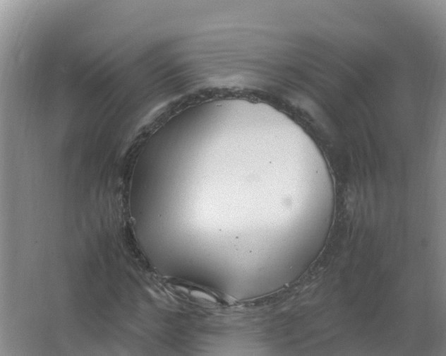 X0000066940968200604142019