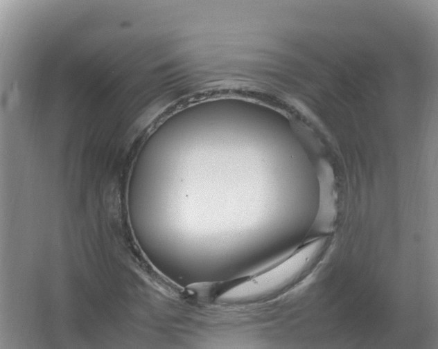 X0000066940969200604142019