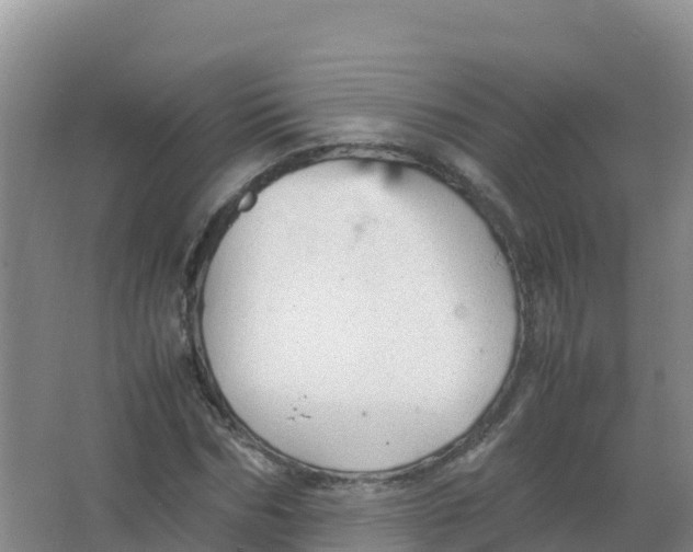 X0000066940970200604142019