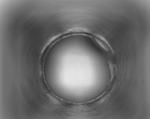 X0000066940973200604142019