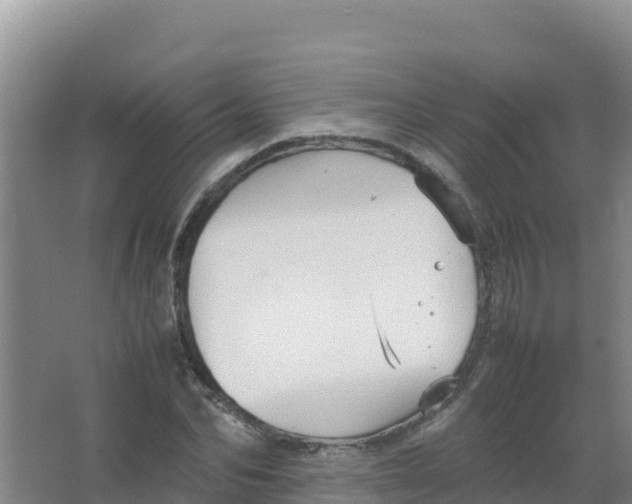 X0000066940974200604142019