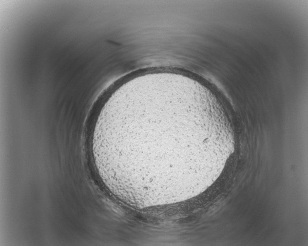 X0000066940975200604142019