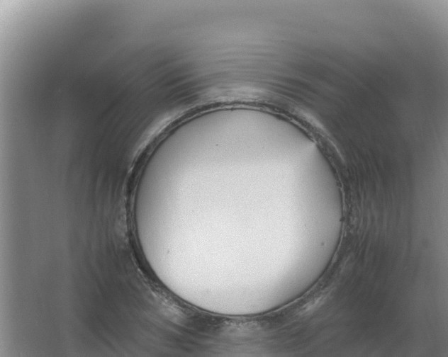 X0000066940978200604142019