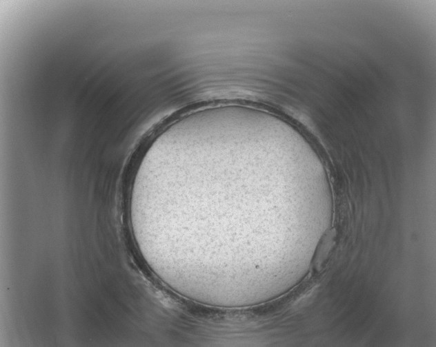 X0000066940979200604142019