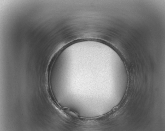 X0000066940982200604142019