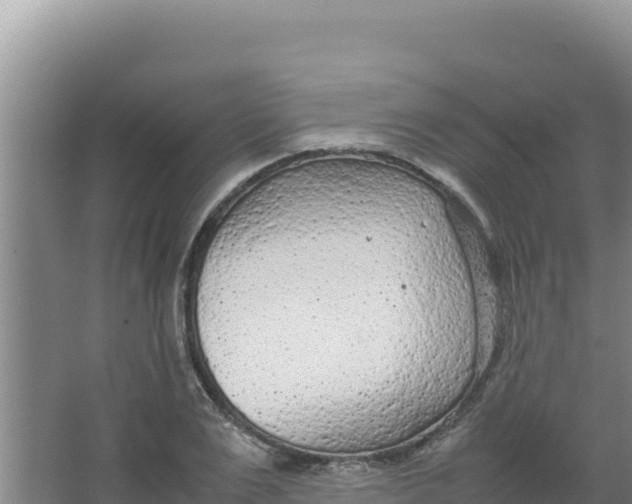 X0000066940983200604142019