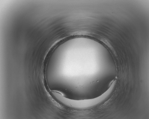 X0000066940984200604142019