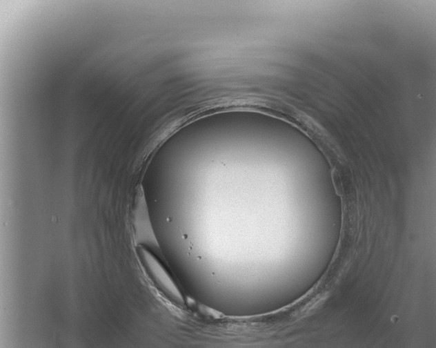 X0000066940985200604142019