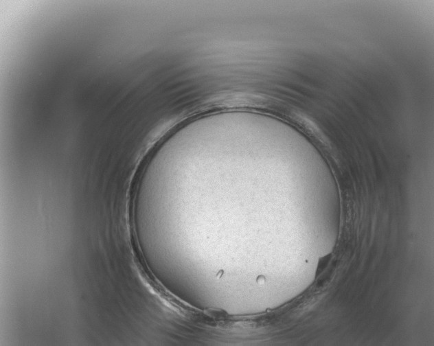 X0000066940986200604142019