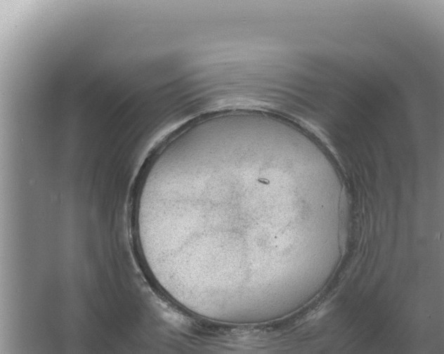 X0000066940987200604142019