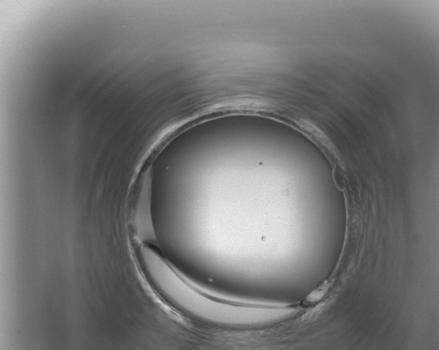 X0000066940989200604142019