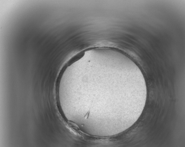 X0000066940990200604142019