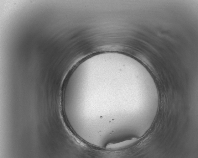 X0000066940992200604142019