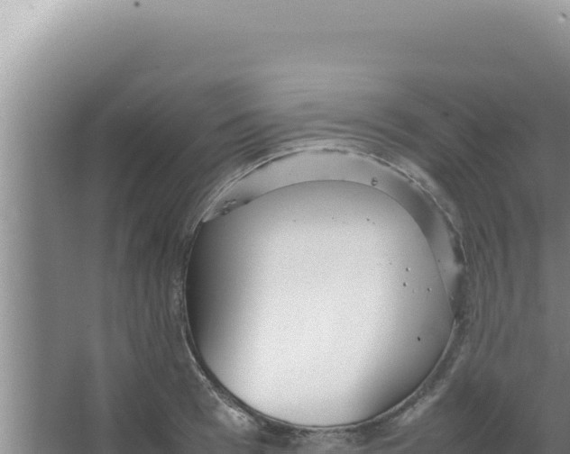 X0000066940993200604142019