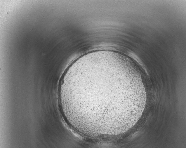 X0000066940994200604142019