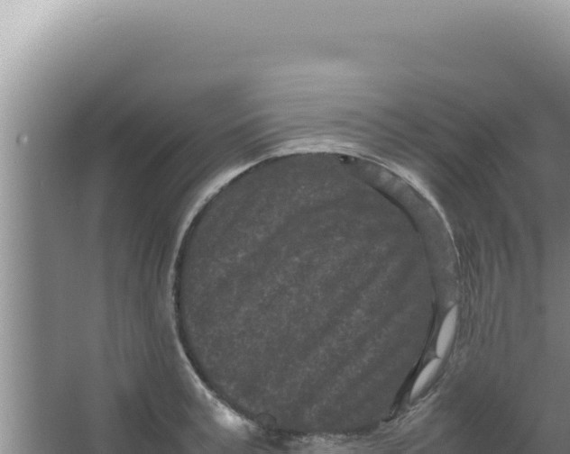 X0000066940995200604142019