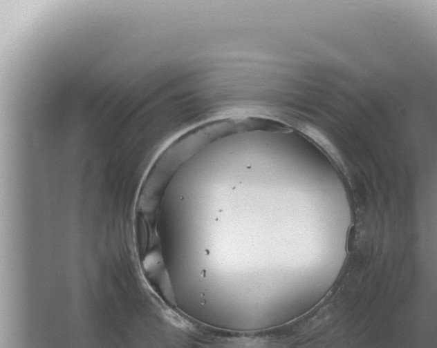 X0000066940996200604142019