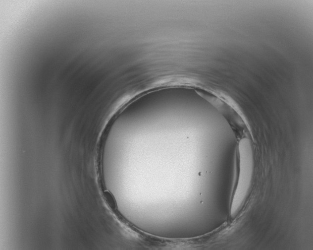 X0000066940997200604142019